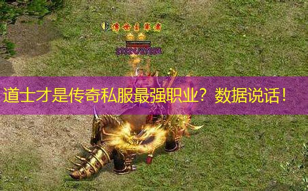 道士才是传奇私服最强职业？数据说话！