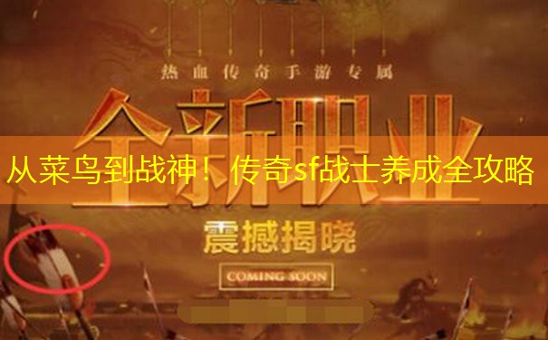 从菜鸟到战神!传奇sf战士养成全攻略