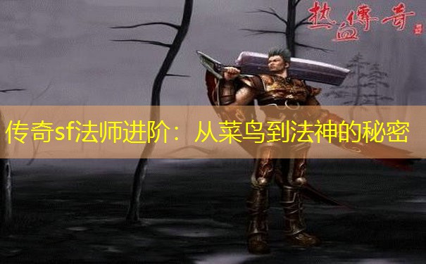 传奇sf法师进阶:从菜鸟到法神的秘密 传奇sf法师进阶:从菜鸟到法神的秘密
