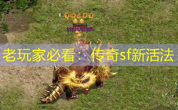 老玩家必看:传奇sf新活法