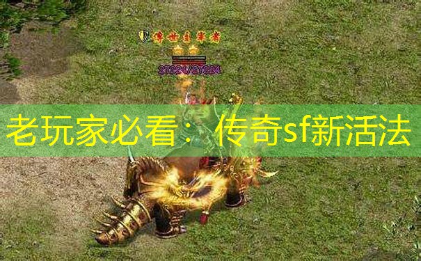 老玩家必看：传奇sf新活法