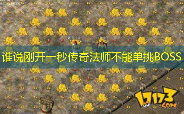 谁说刚开一秒传奇法师不能单挑BOSS 谁说刚开一秒传奇法师不能单挑BOSS