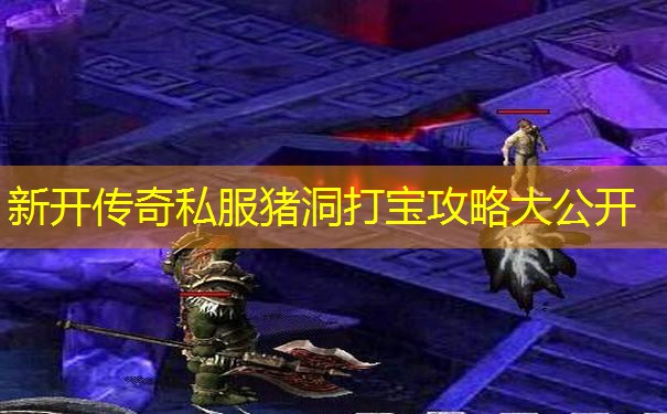 新开传奇私服猪洞打宝攻略大公开