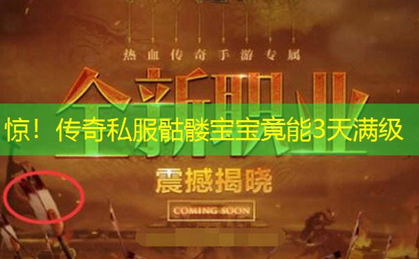 惊!传奇私服骷髅宝宝竟能3天满级 惊!传奇私服骷髅宝宝竟能3天满级