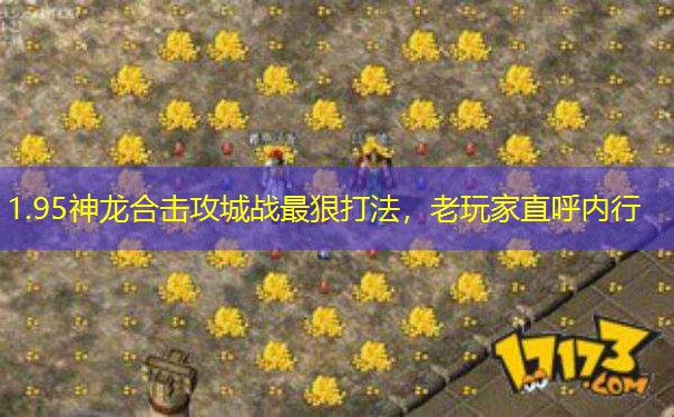 1.95神龙合击攻城战最狠打法,老玩家直呼内行