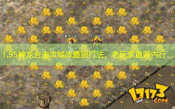 1.95神龙合击攻城战最狠打法,老玩家直呼内行 1.95神龙合击攻城战最狠打法,老玩家直呼内行