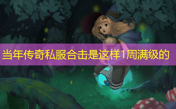 当年传奇私服合击是这样1周满级的