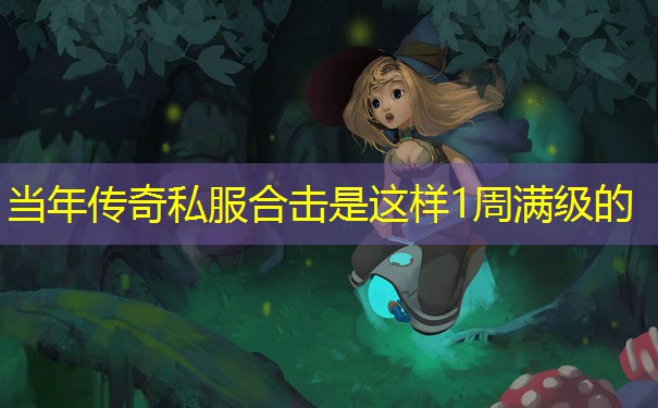 当年传奇私服合击是这样1周满级的