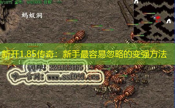 新开1.85传奇：新手最容易忽略的变强方法