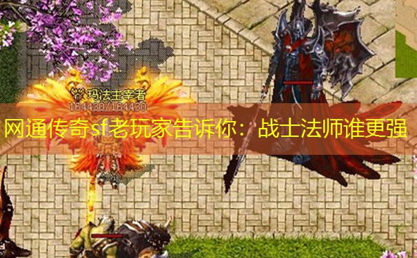 网通传奇sf老玩家告诉你:战士法师谁更强