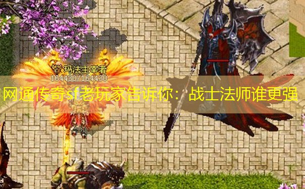 网通传奇sf老玩家告诉你：战士法师谁更强