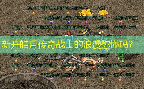 新开皓月传奇战士的浪漫你懂吗？