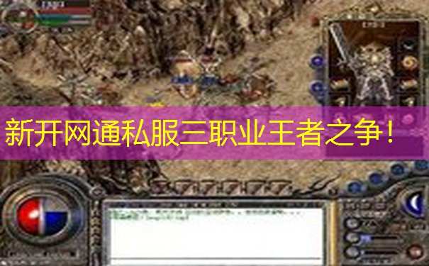 新开网通私服三职业王者之争！