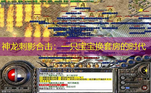 神龙刺影合击:一只宝宝换套房的时代