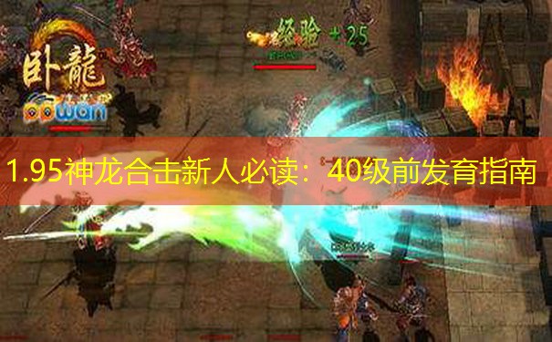1.95神龙合击新人必读：40级前发育指南