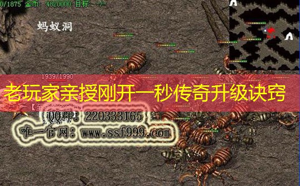老玩家亲授刚开一秒传奇升级诀窍