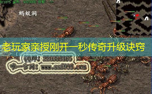 老玩家亲授刚开一秒传奇升级诀窍