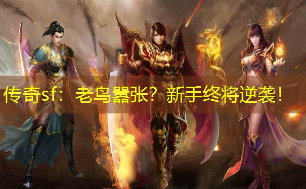 传奇sf:老鸟嚣张?新手终将逆袭!