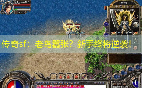 传奇sf：老鸟嚣张？新手终将逆袭！