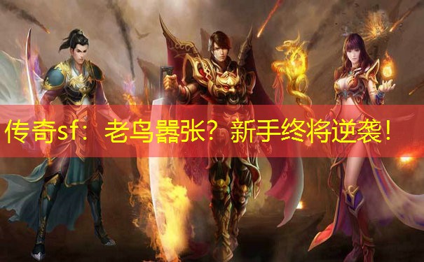 传奇sf：老鸟嚣张？新手终将逆袭！