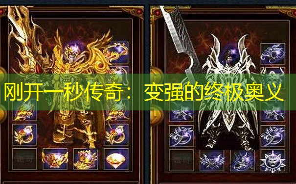 刚开一秒传奇：变强的终极奥义
