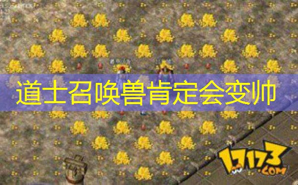 道士召唤兽肯定会变帅 道士召唤兽肯定会变帅