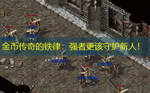 金币传奇的铁律:强者更该守护新人! 金币传奇的铁律:强者更该守护新人!