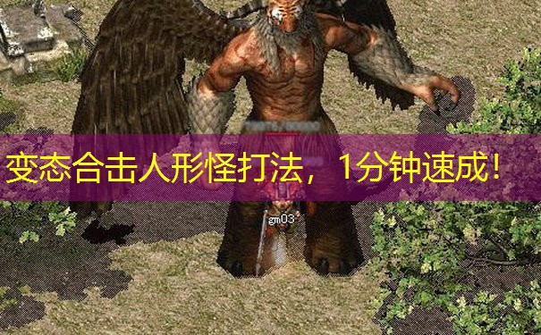 变态合击人形怪打法，1分钟速成！